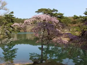 Handayama Park