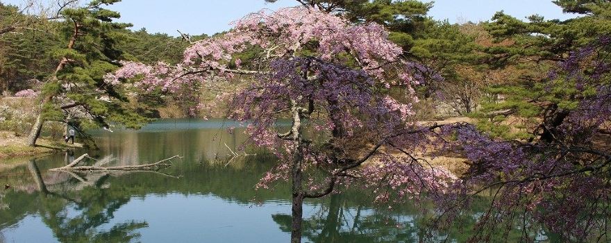 Handayama Park