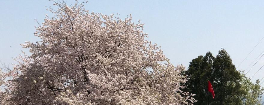 Fujioka Golf Club