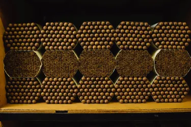 Fábrica Joya de Nicaragua