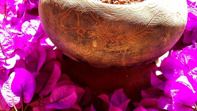 Centro Holistico Masaje Y Temazcal