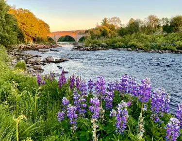 Banchory