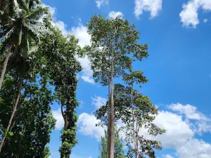 Wat Moklan Archaeological Site