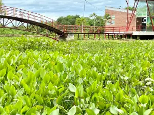 Pantanal Park