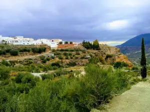 Camping Almocita, bar/restaurante El Mirador