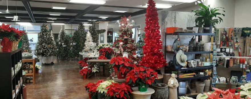 Eagle Rock Nursery