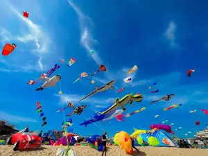 Biển phước hải