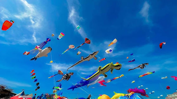 Biển phước hải