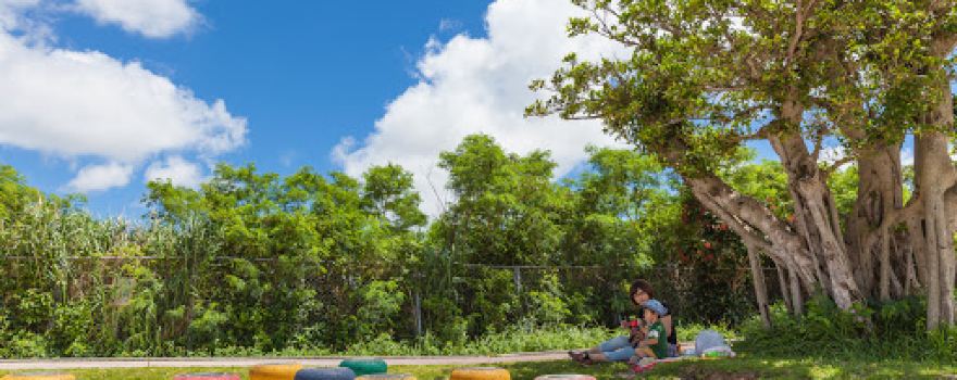 Motobu Park