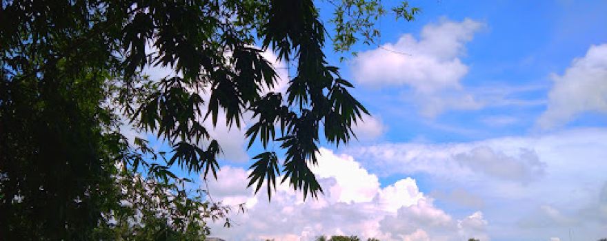 Baluchar Field, Chatmohar