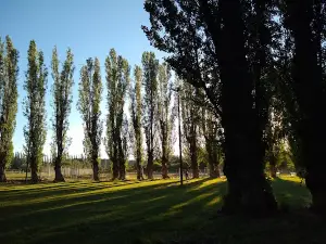 Camping Municipal Tricao Malal