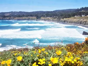 Black Point Beach Access