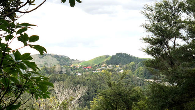 Reeme Street Reserve