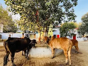 Itra Wale Hanuman Ji Temple (Itara)