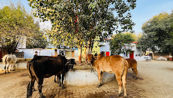 Itra Wale Hanuman Ji Temple (Itara)