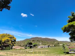 Barao De Guaicui