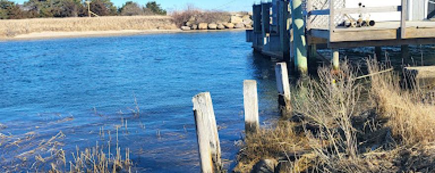 Sea View Park