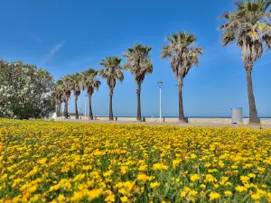 Camping & Bungalows Estanyet