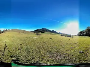 Sabana Gunung Mutis