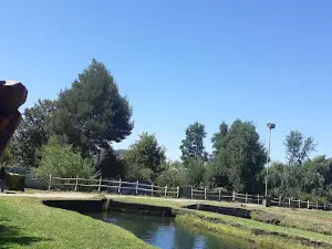 Piscicultura de Lautaro