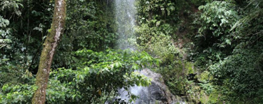 Sidodadi Water fall