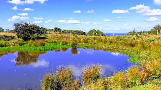 Hollingbury Golf Course