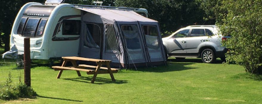 The Beeches Campsite