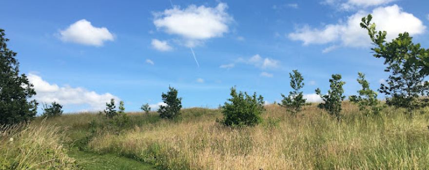Horsehay Common