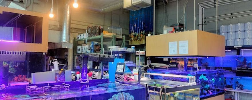 Age of Aquariums