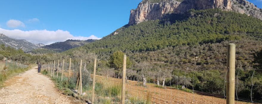 Torrent de Solleric