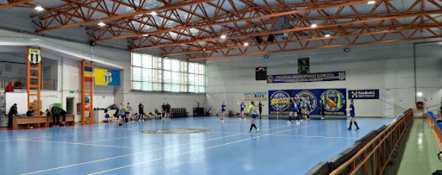 Sala Sporturilor „Andreea Nica“