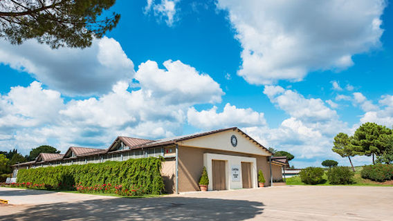 Tenimenti Leone, Società Agricola Agribel ss