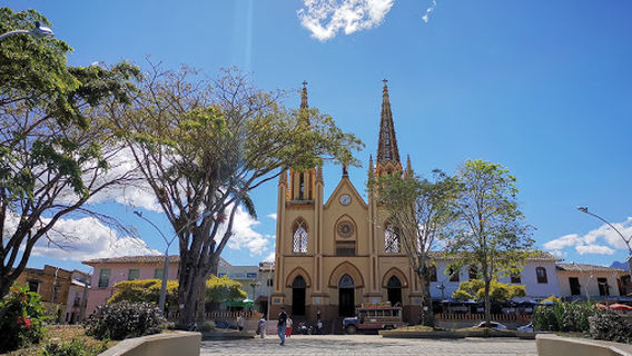 Alto Buenavista