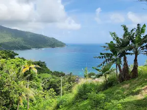 La Miel(Panamá)