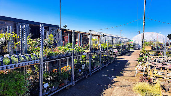 Long Acre Garden Centre