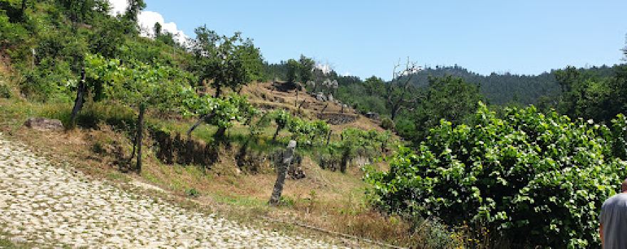 Rio do Carregal