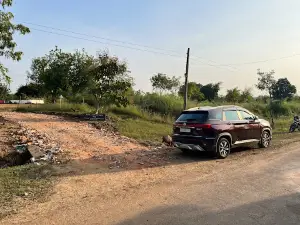 Shrikheda Gate, TADOBA