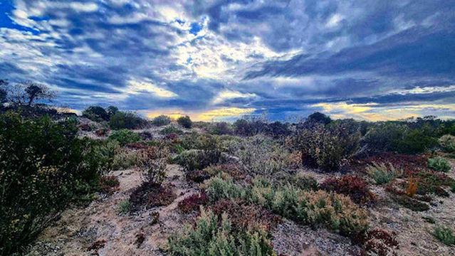 Parham Camping Ground