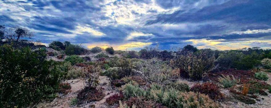 Parham Camping Ground
