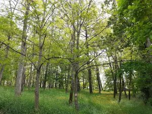 Camping du Lac
