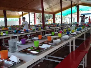 Green Camp