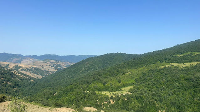 Talish Mountains
