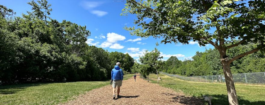 Angell Woods