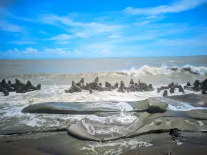 Teknaf Sea Beach
