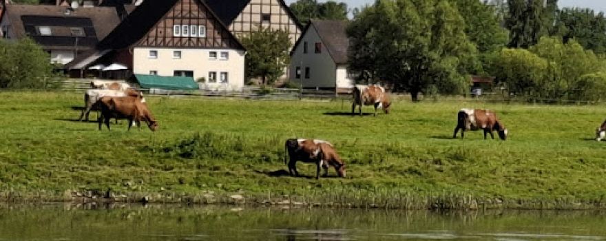 Weserradweg Bodenwerder-Polle
