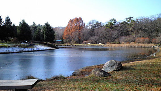 Takizawa Forest Park