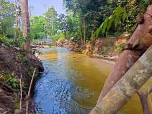 Eko Wisata Hutan Adat Imbo Putui
