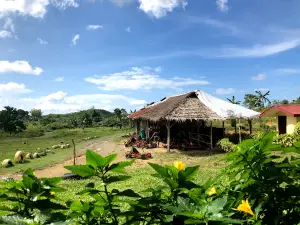 Danasan Eco Adventure Park