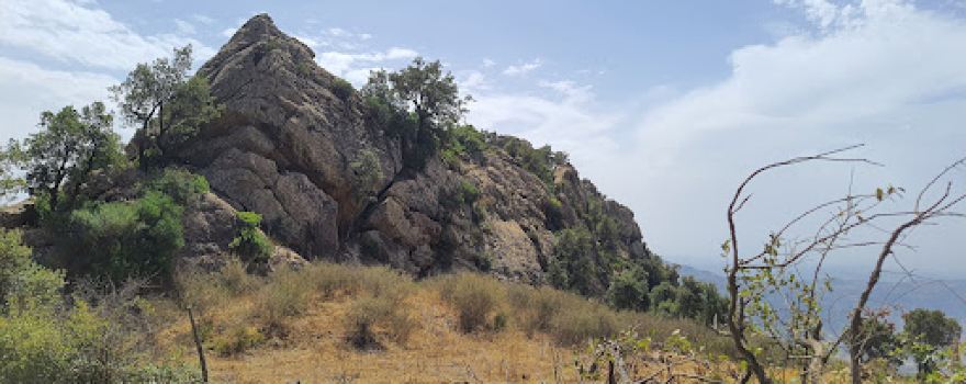 GAROURA