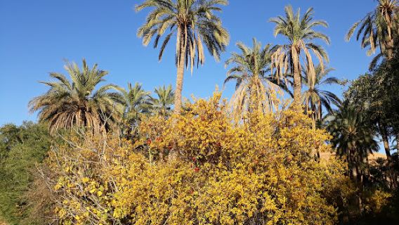 M'Chouneche natural park